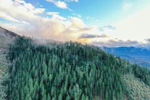 DJI_0636.jpg