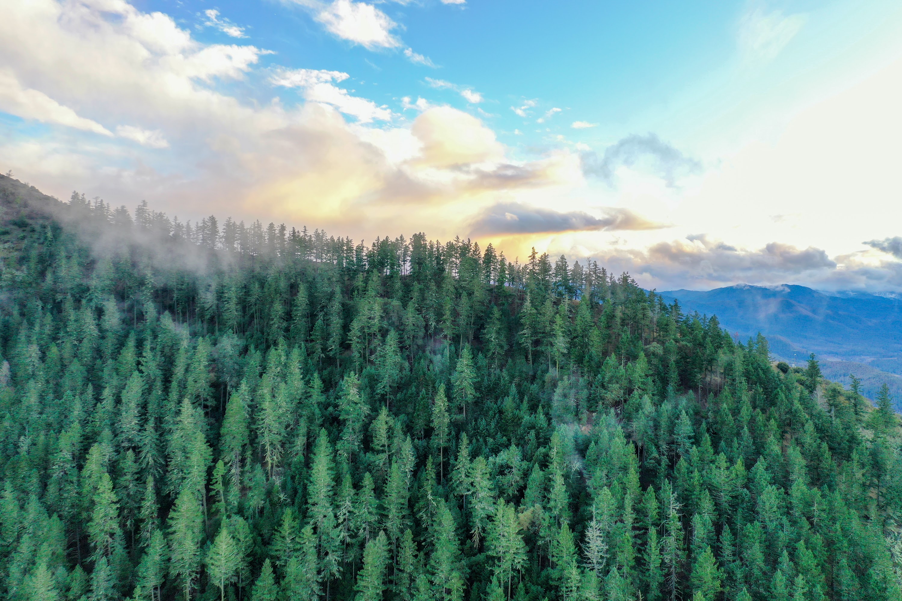 DJI_0637.jpg