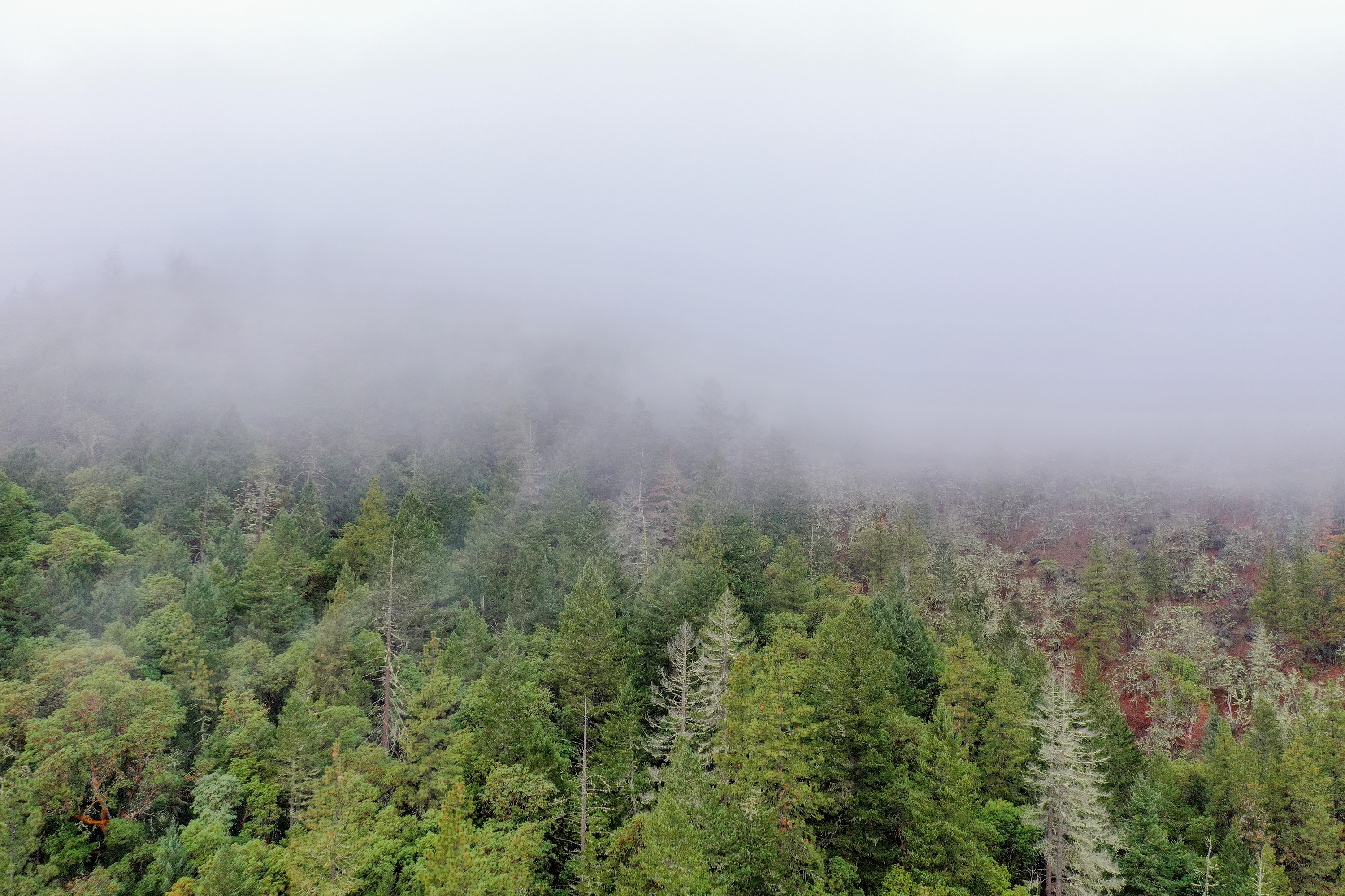 DJI_0656.jpg