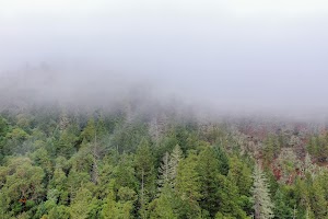 DJI_0656.jpg