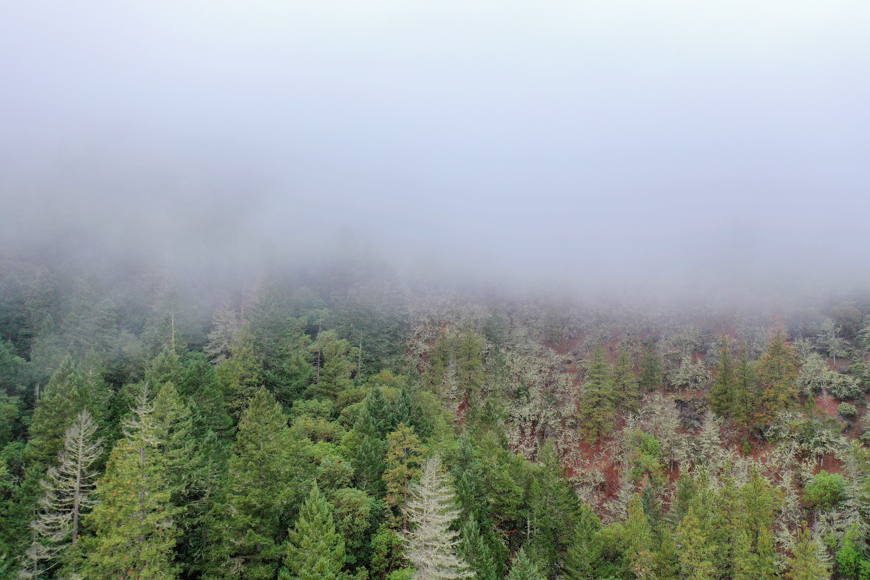 DJI_0657.jpg