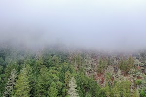 DJI_0657.jpg