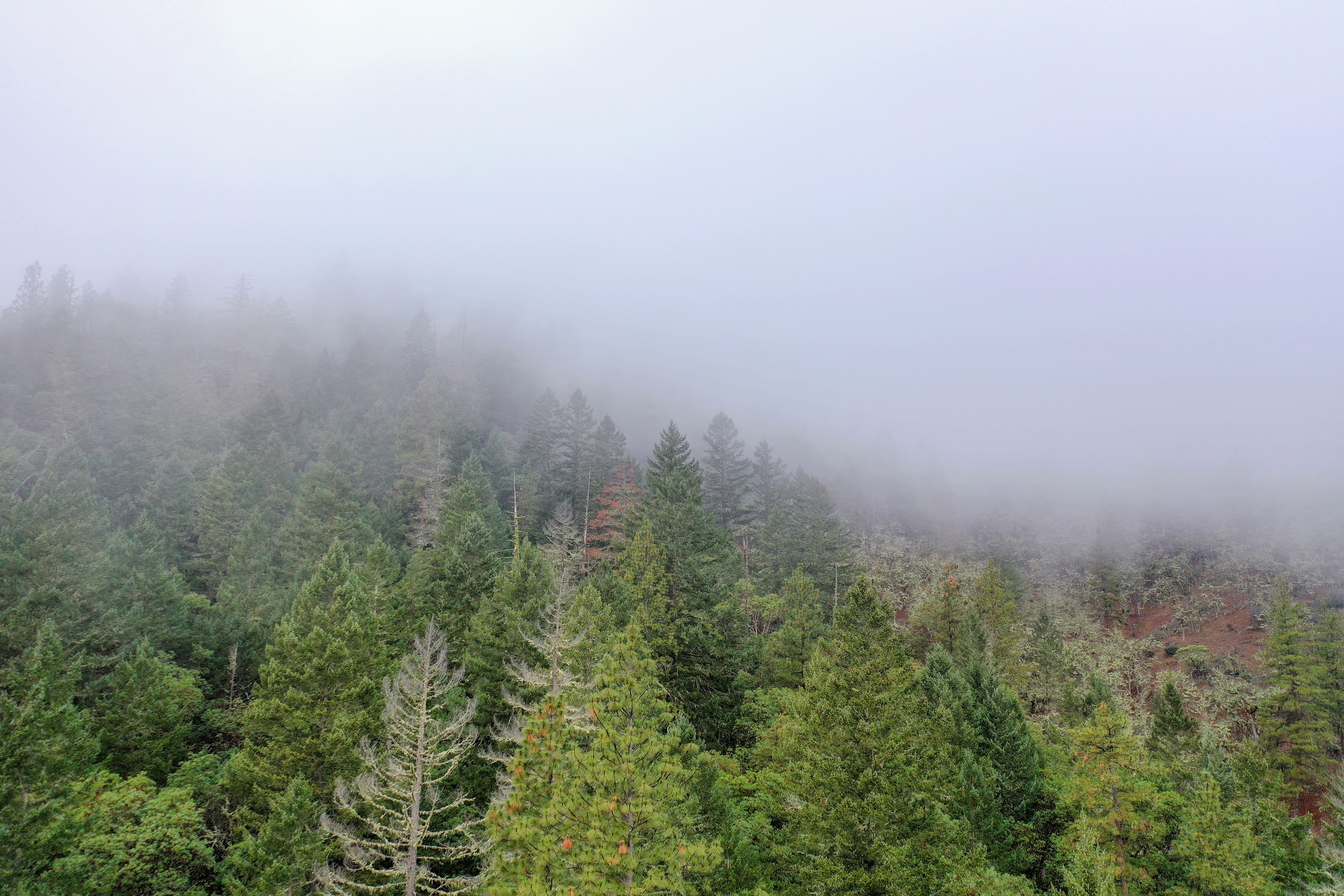 DJI_0662.jpg
