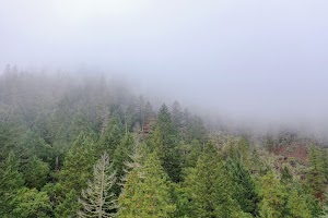 DJI_0662.jpg