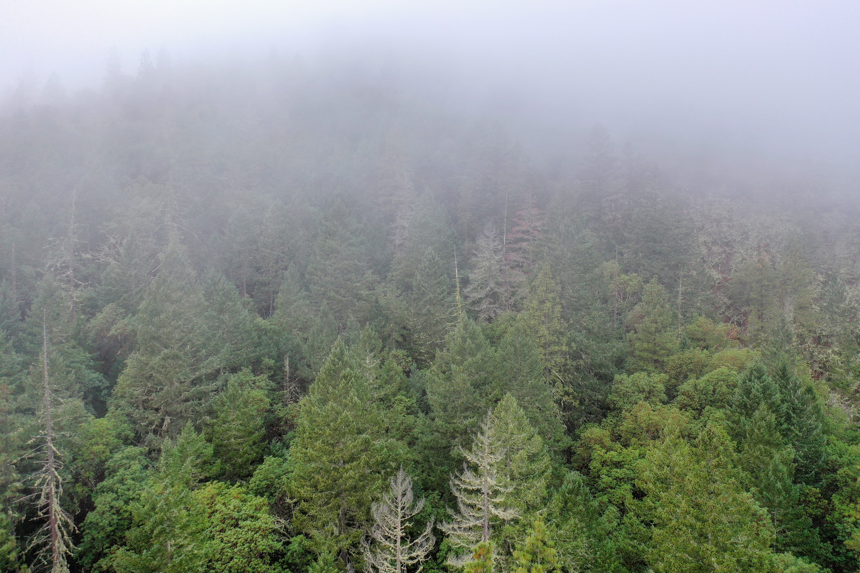 DJI_0664.jpg