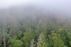 DJI_0664.jpg