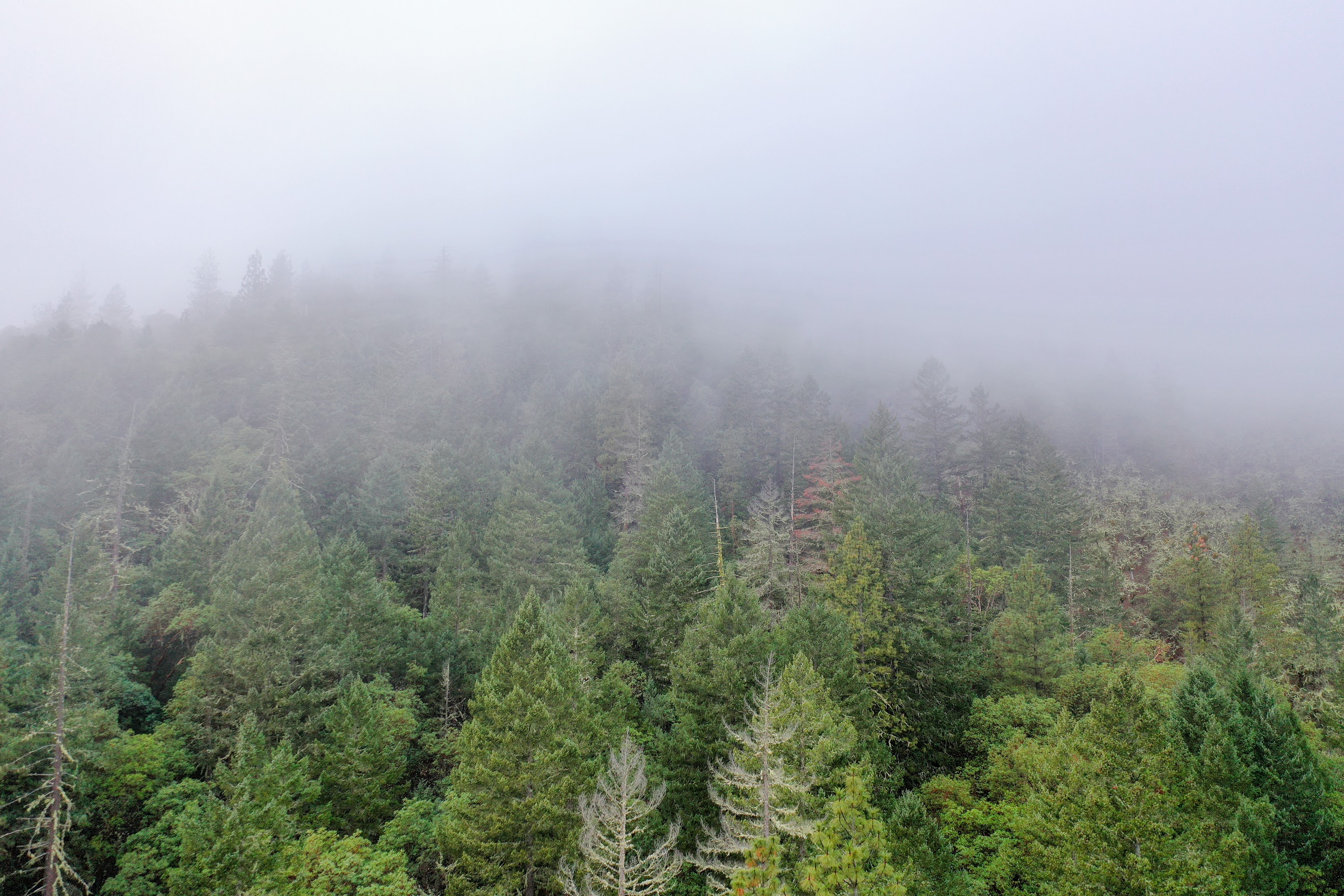 DJI_0665.jpg