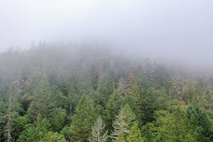 DJI_0665.jpg