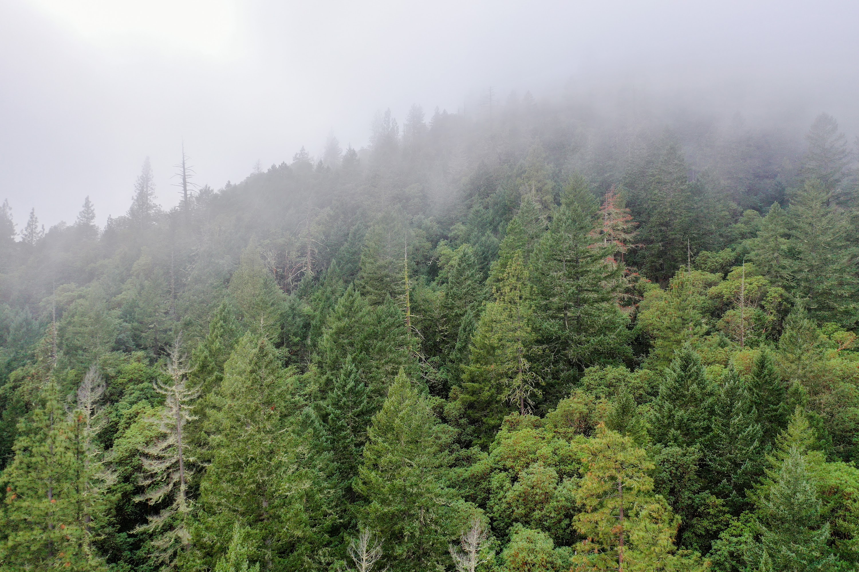 DJI_0666.jpg