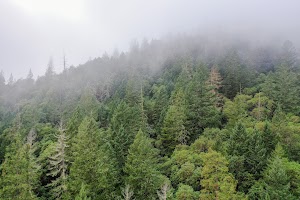 DJI_0666.jpg