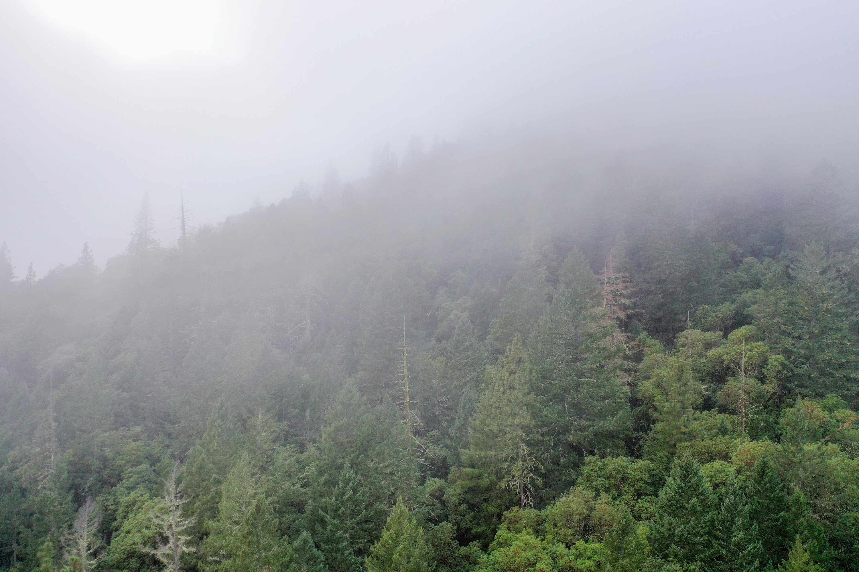DJI_0667.jpg