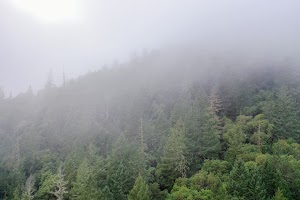 DJI_0667.jpg