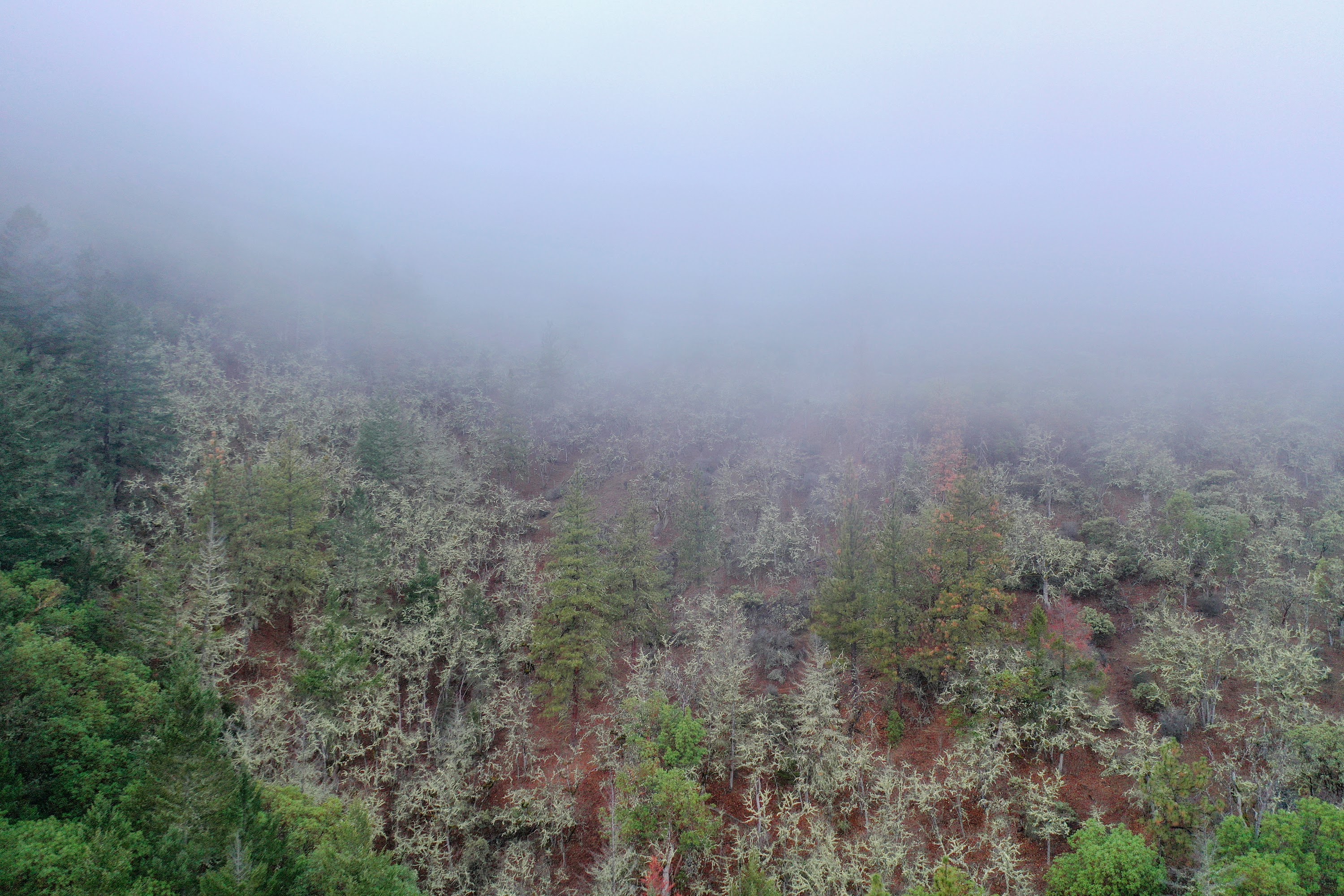 DJI_0668.jpg