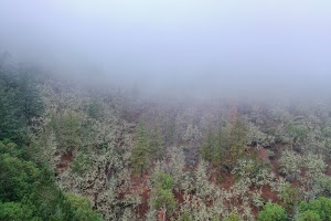 DJI_0668.jpg