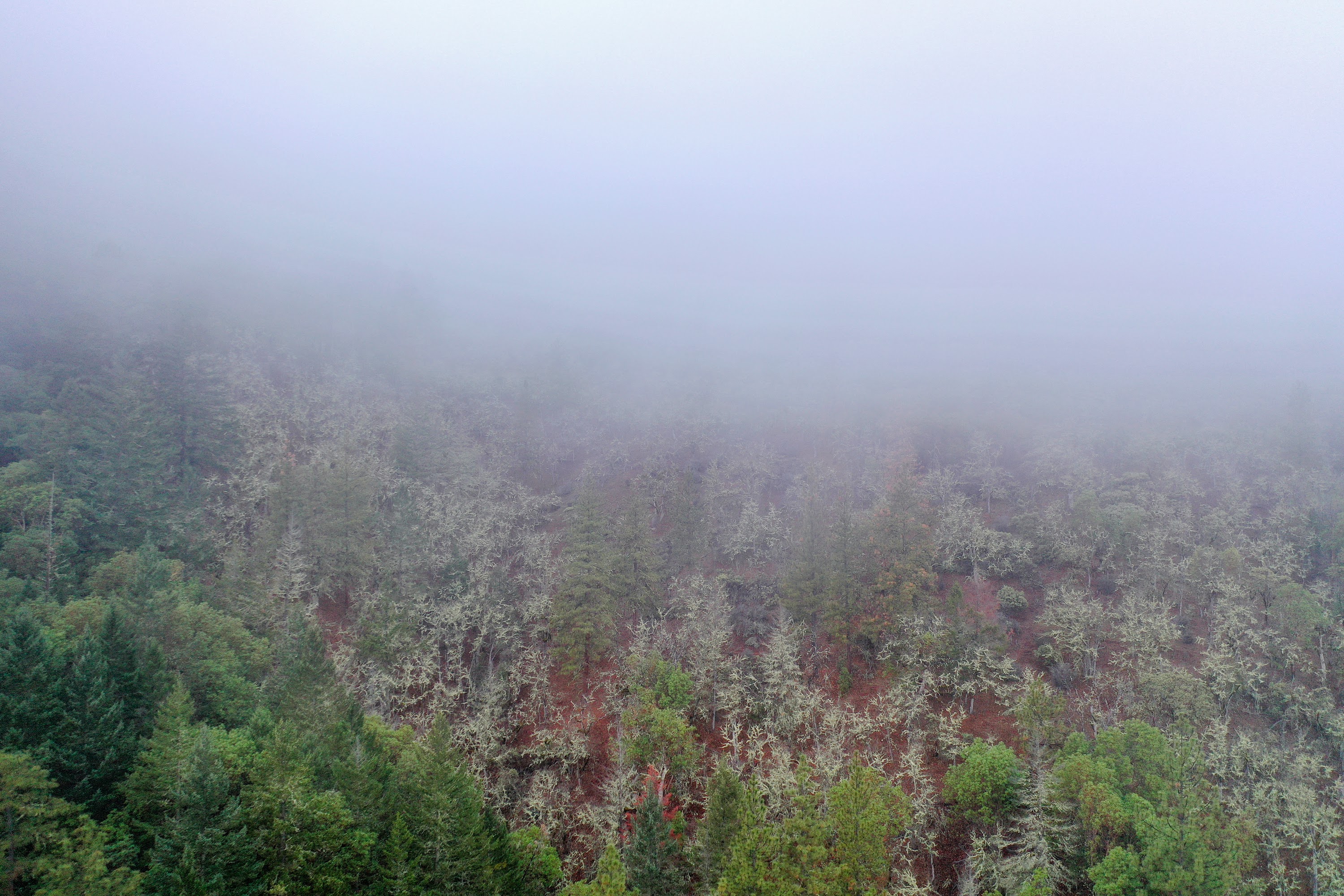 DJI_0669.jpg