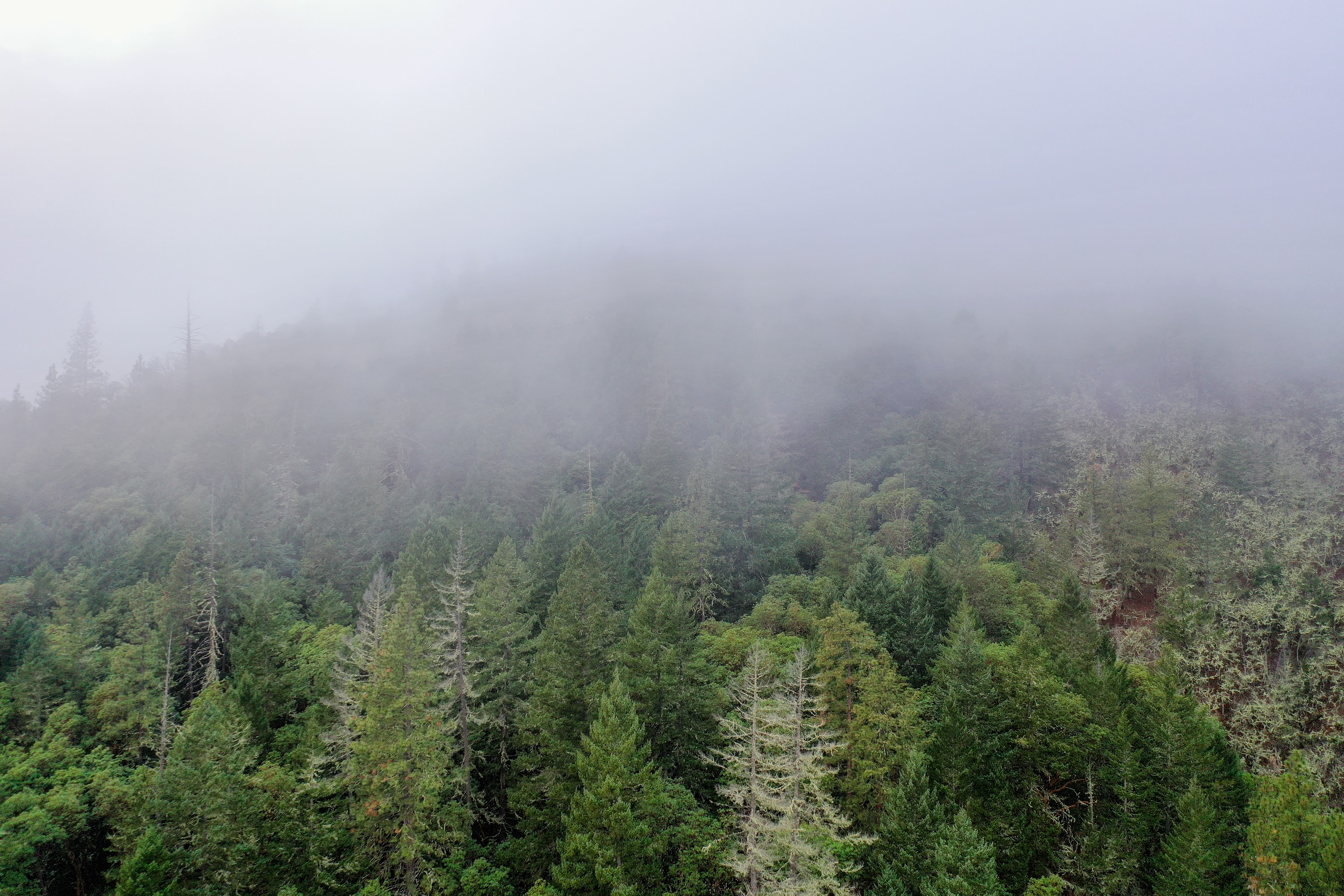 DJI_0671.jpg