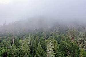 DJI_0671.jpg