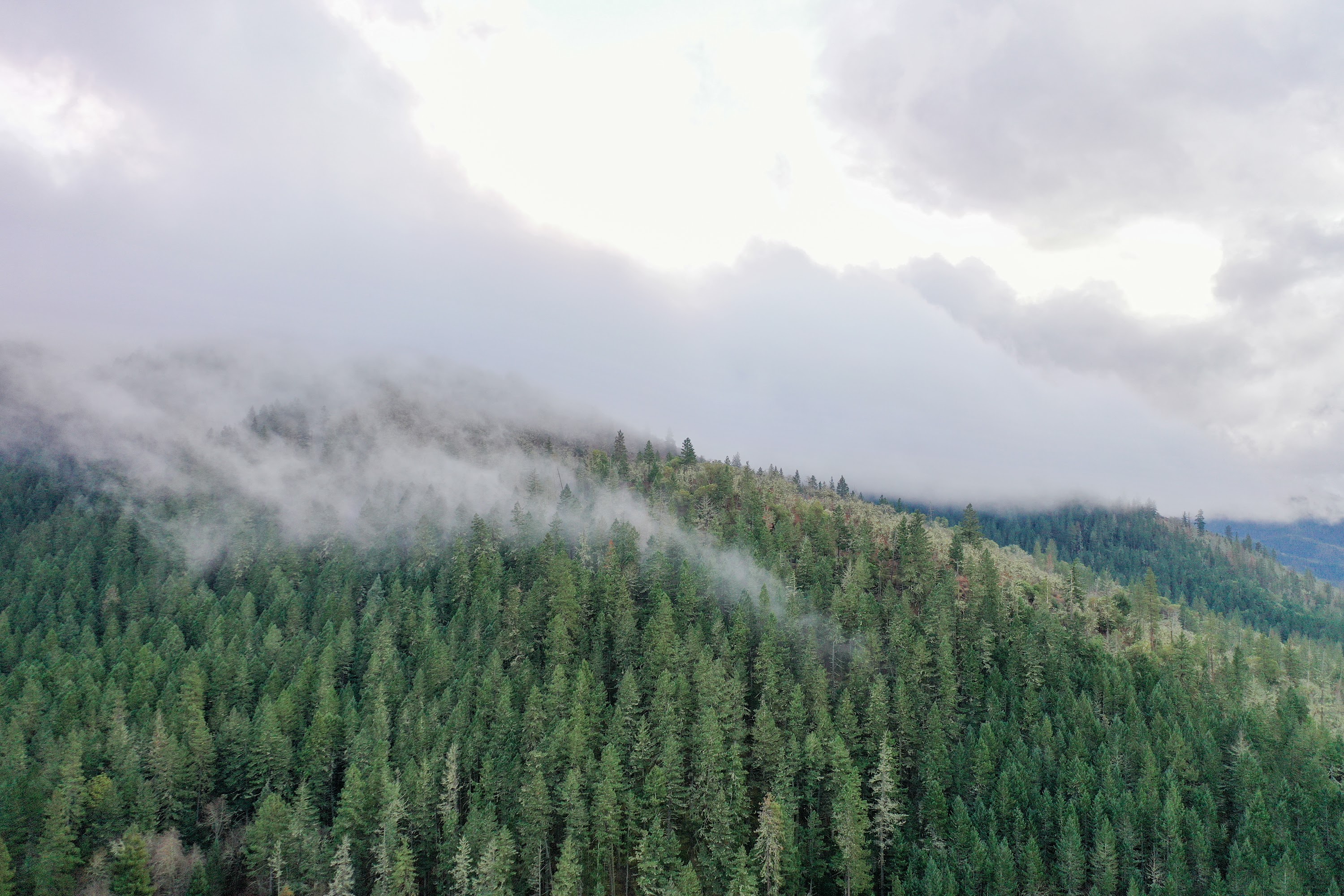 DJI_0676.jpg