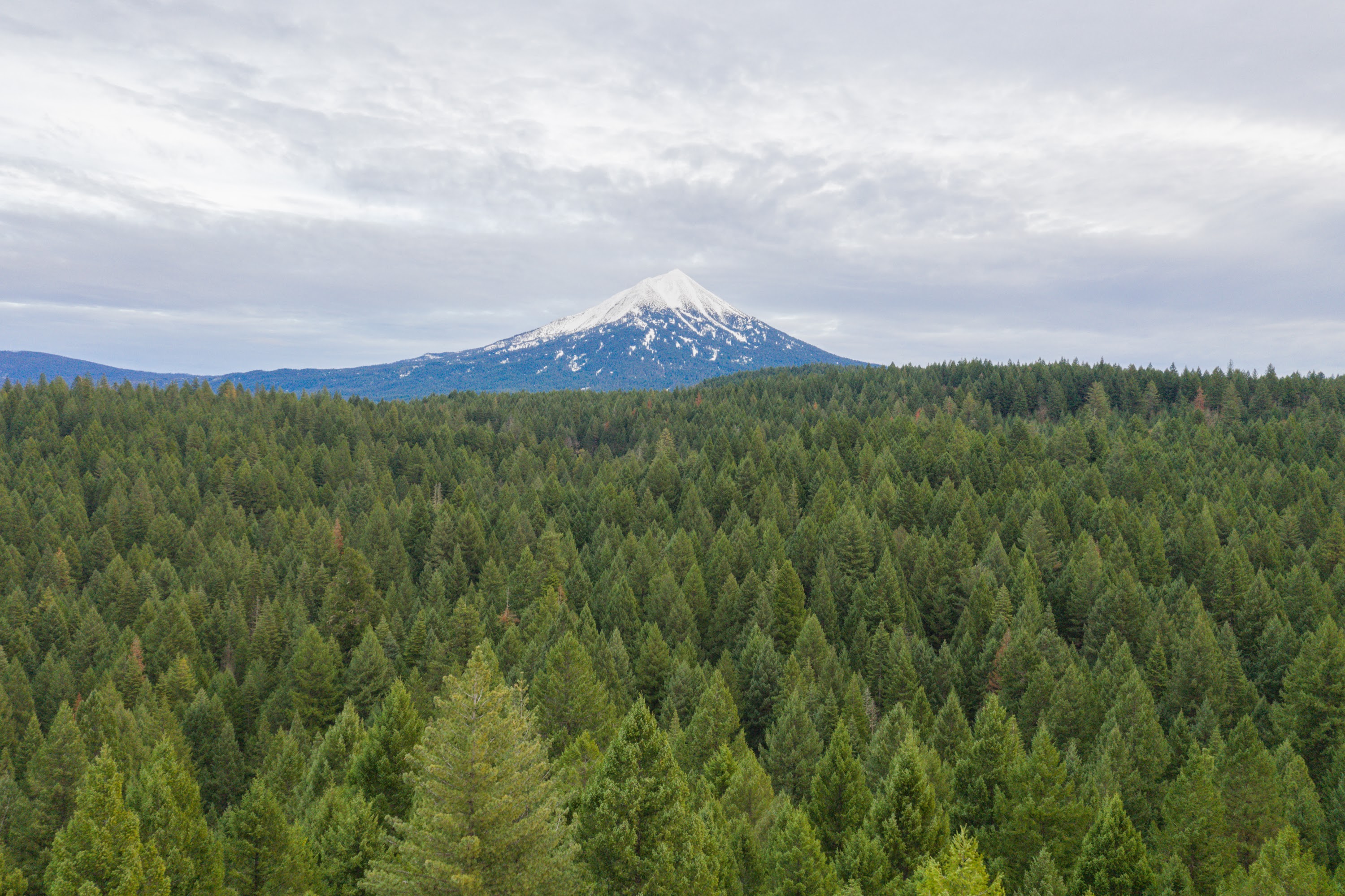DJI_0721.jpg