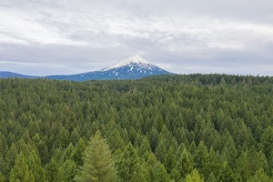 DJI_0721.jpg