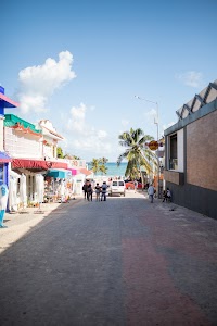 _MG_2411.jpg