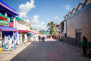 _MG_2413.jpg