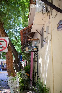 _MG_2572.jpg