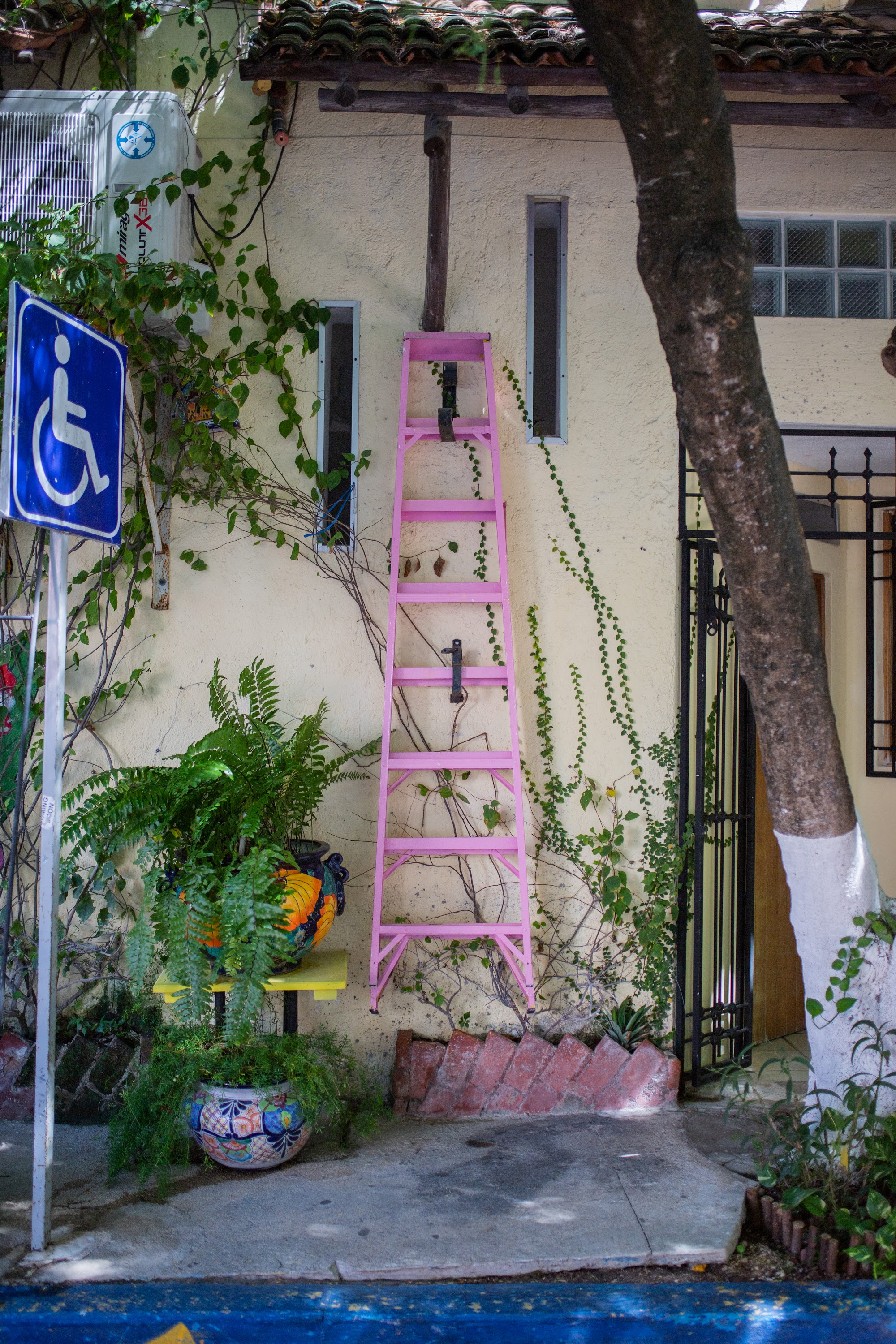 _MG_2576.jpg