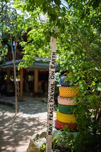 _MG_2647.jpg
