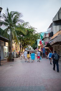 _MG_2127.jpg