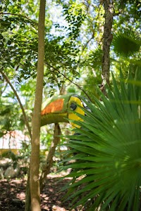 _MG_2631.jpg