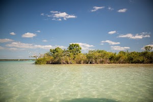 _MG_3663.jpg