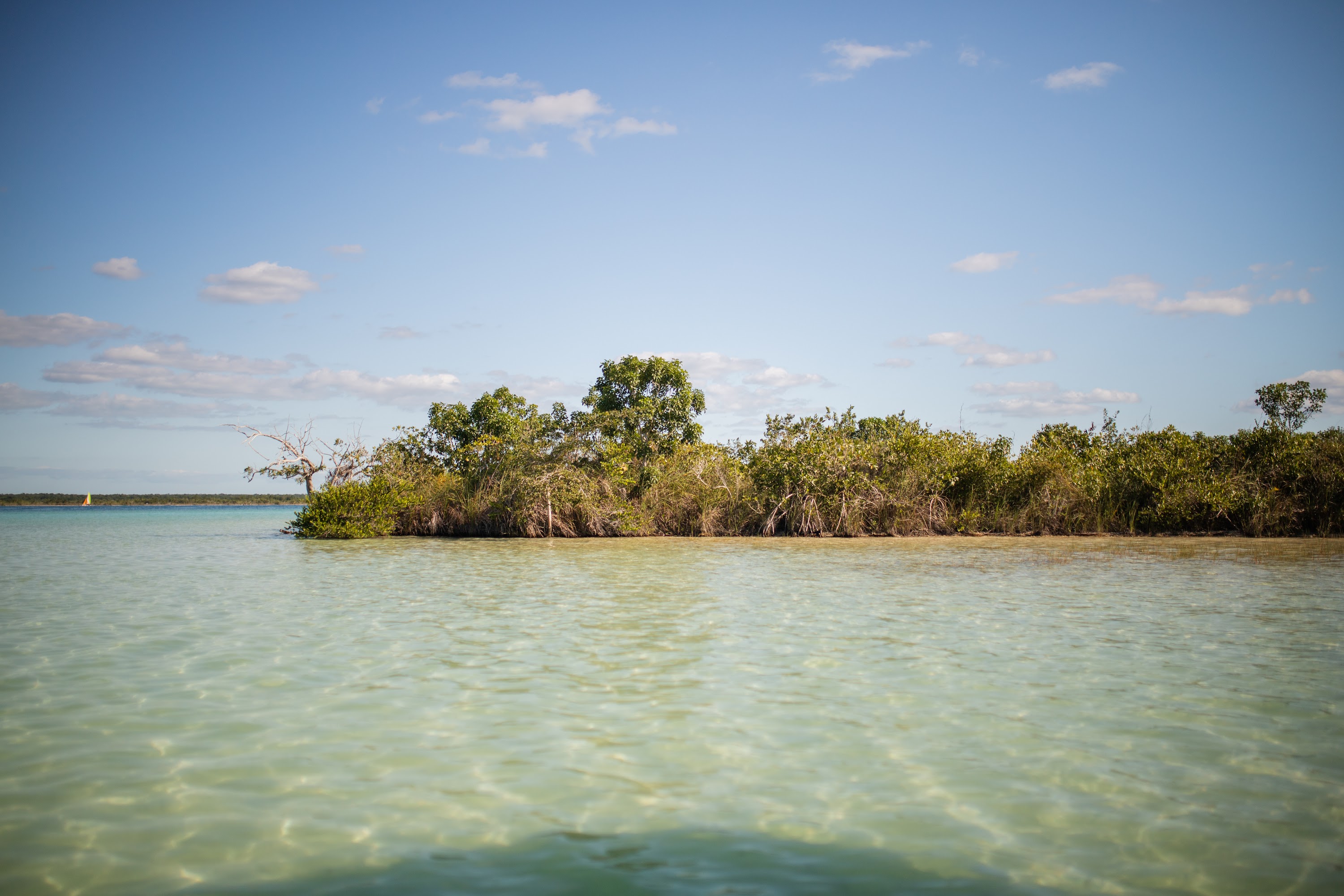 _MG_3664.jpg