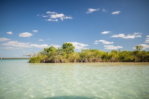 _MG_3665.jpg