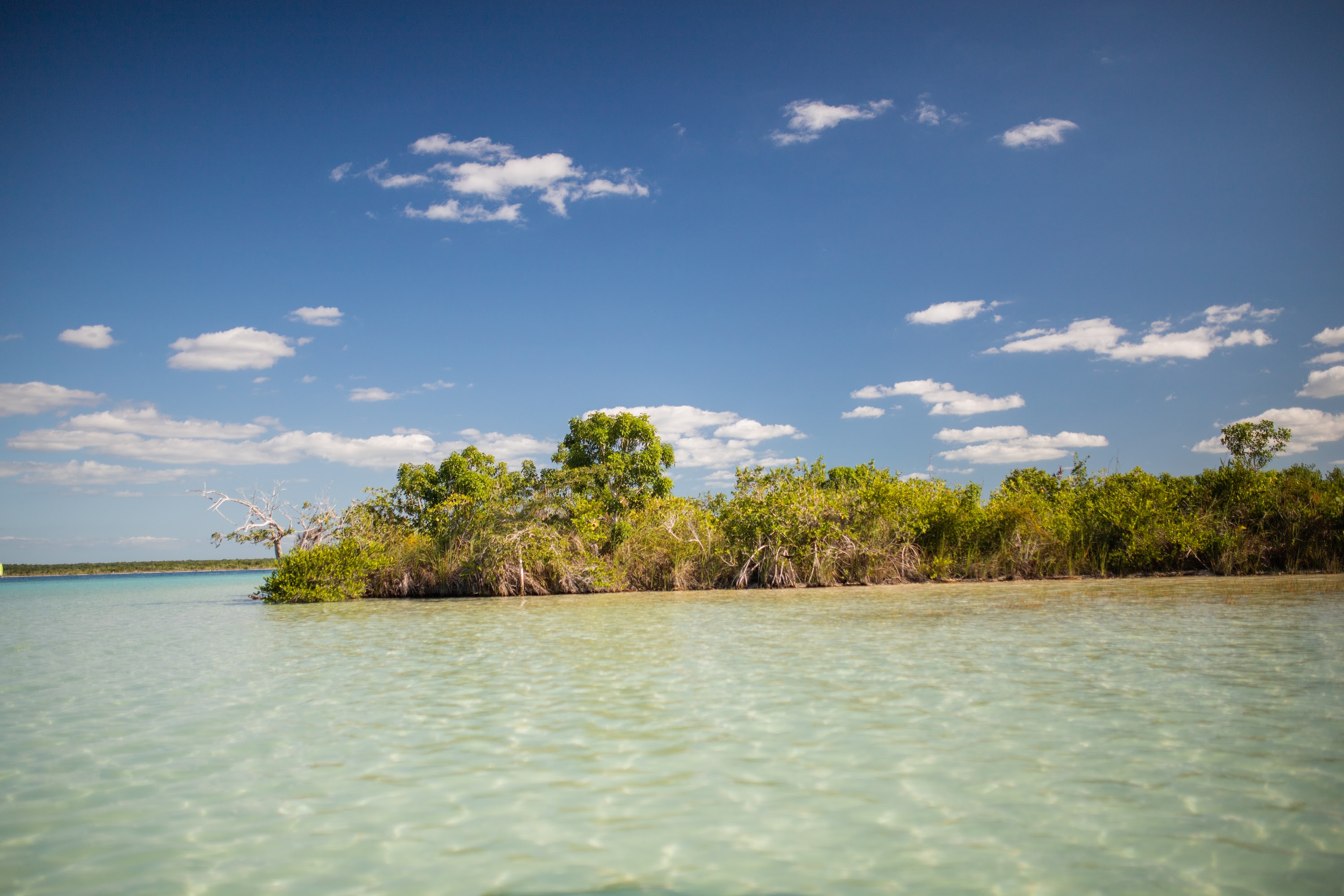 _MG_3666.jpg