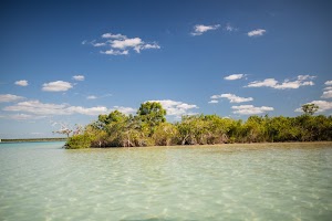 _MG_3666.jpg