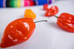 _DSF1862.jpg