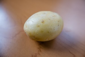 _DSF2523.jpg