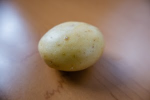 _DSF2524.jpg