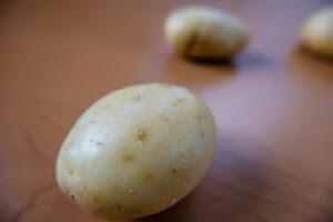 _DSF2534.jpg