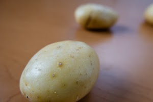 _DSF2538.jpg