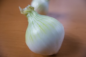 _DSF2581.jpg