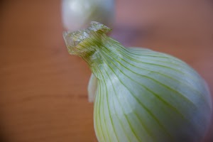 _DSF2593.jpg
