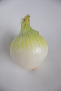_DSF2609.jpg