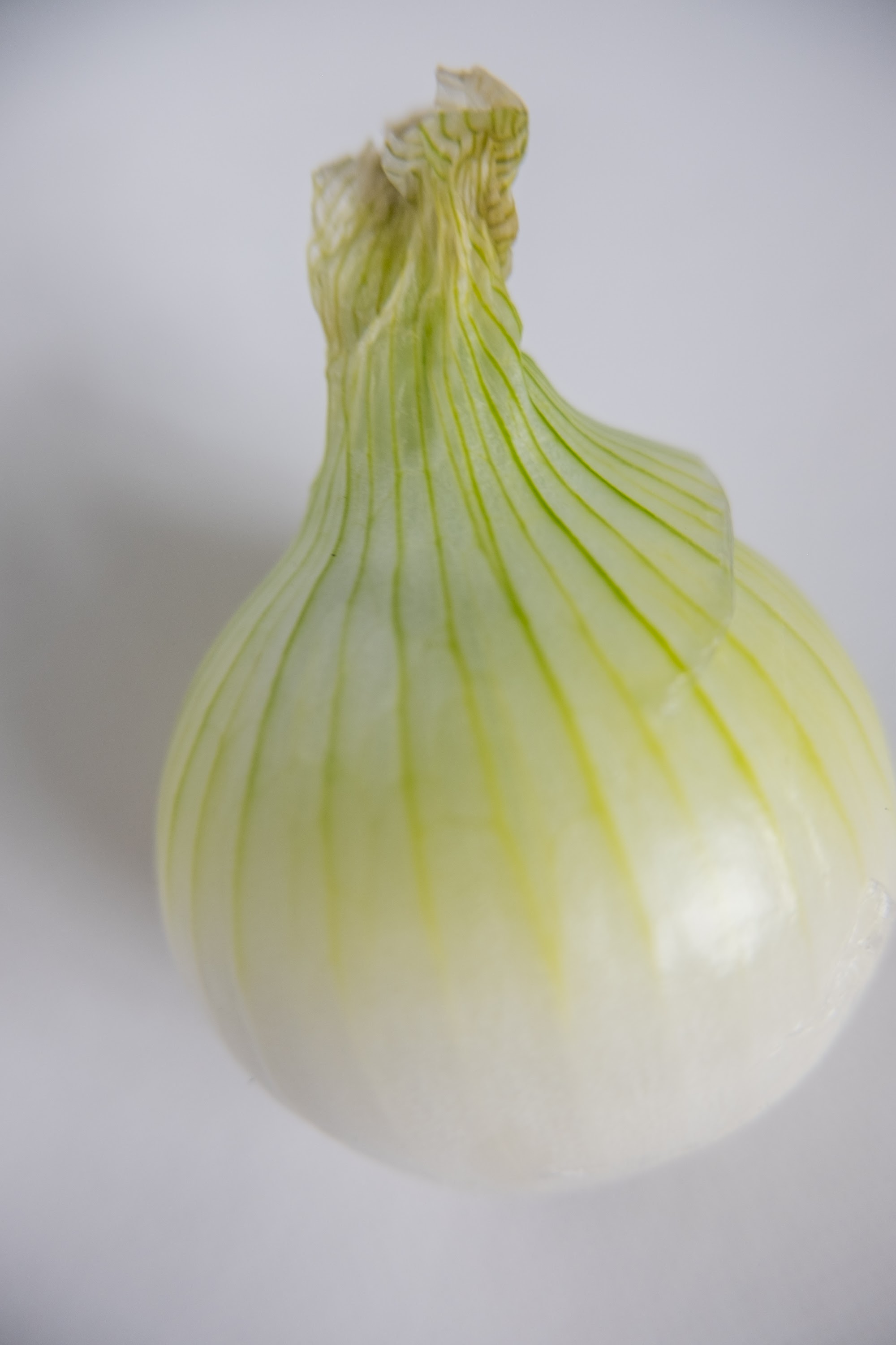 _DSF2616.jpg
