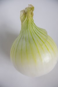 _DSF2616.jpg