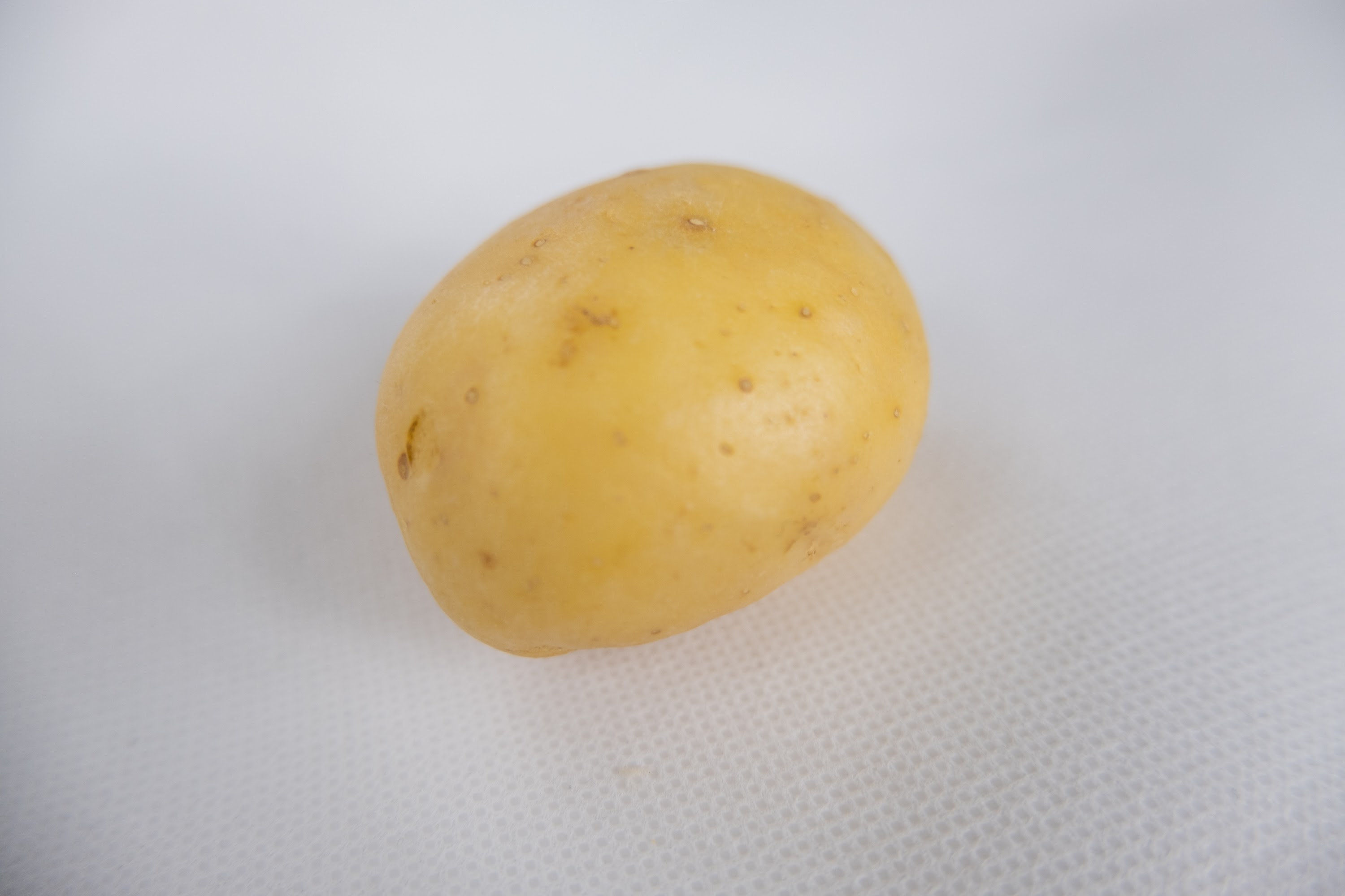 _DSF2618.jpg
