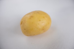 _DSF2620.jpg