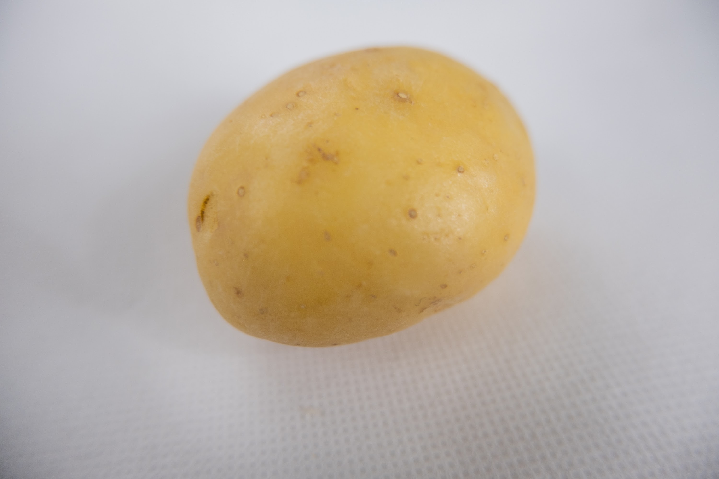 _DSF2622.jpg