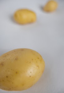 _DSF2629.jpg